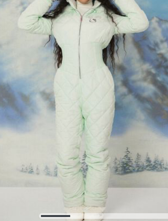 How much is too much for a snow suit?