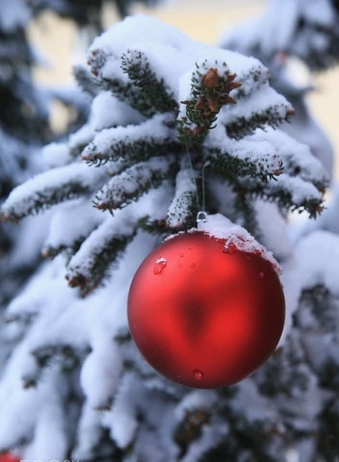 Whats one thing you miss from your childhood during the holidays?
