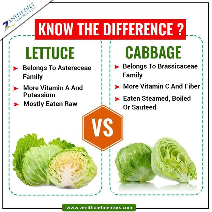 Cabbage vs Lettuce. which do you prefer?