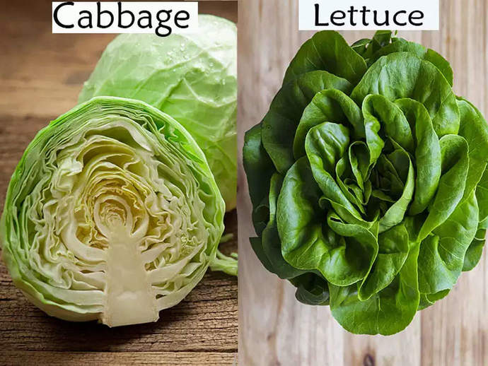 Cabbage vs Lettuce. which do you prefer?