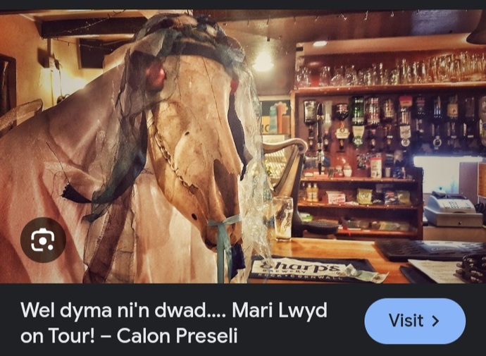 What Is Your New Year's Tradition 🎆?