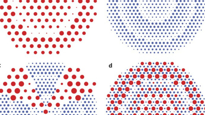 What are these images of?