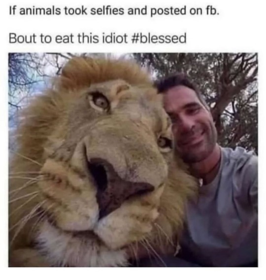 If your pets could post on social media, what would they say about you?