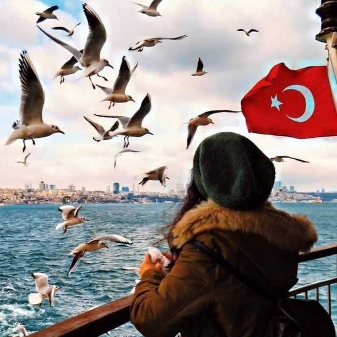 In which city of which country would you like to live?