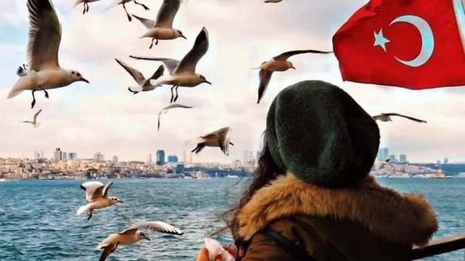 In which city of which country would you like to live?