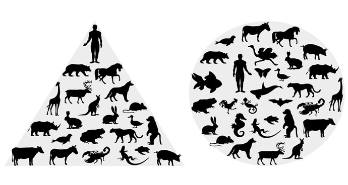 Are human lives worth more than animal lives?