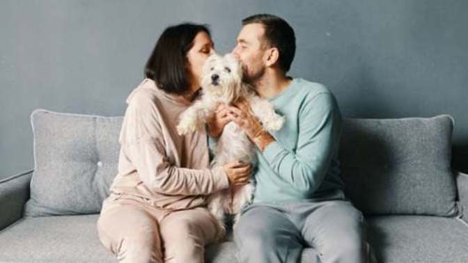 Why are you so upset that other people choose not to marry or have kids?