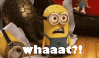 Is it illegal not to pay waiters/ servers an hourly wage?
