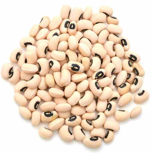 Whats your favourite dried bean?
