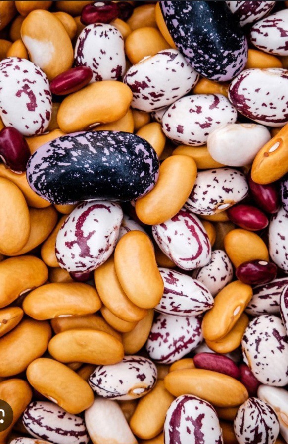 Whats your favourite dried bean?