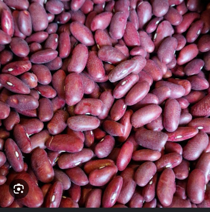 Whats your favourite dried bean?