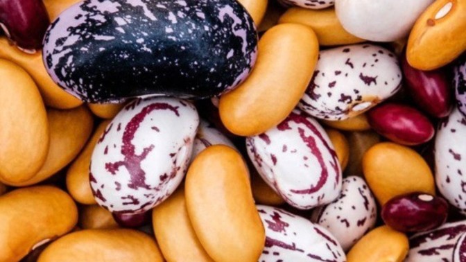 What's your favourite dried bean?