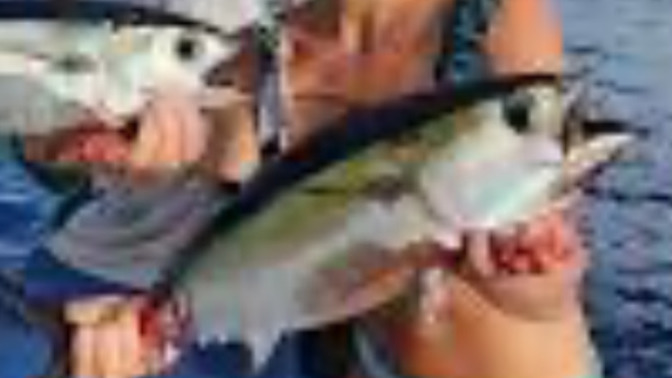 When was the last time you you went fishing?