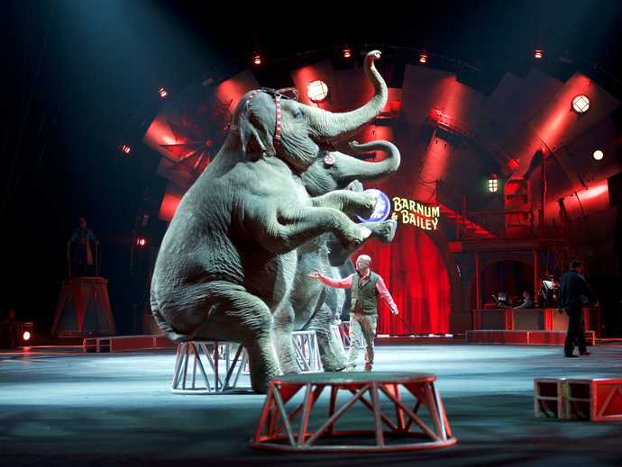 Have you ever been to an actual Circus before?