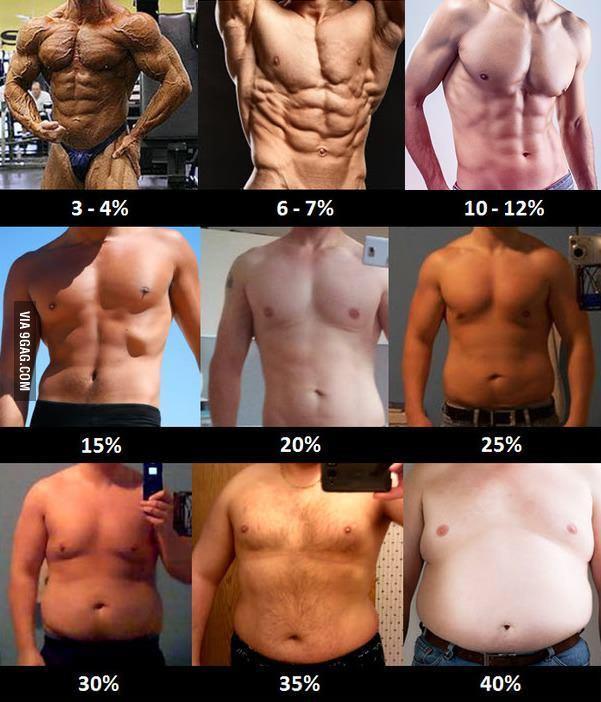 What body fat percentage ranges do you find most sexy or acceptable?