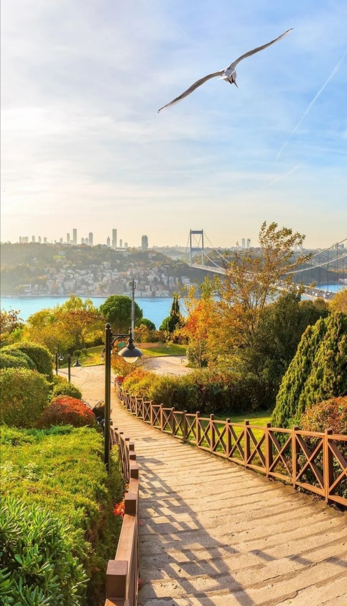 Would you prefer to visit Istanbul or London?