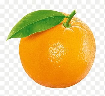 If you gave me half of the last fruit you ate, what would I eat?
