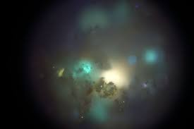What are your thoughts on human ashes under a microscope looking like the universe?