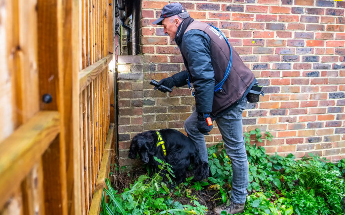 Pet theft is on the rise in the UK, could it be the immigrants?