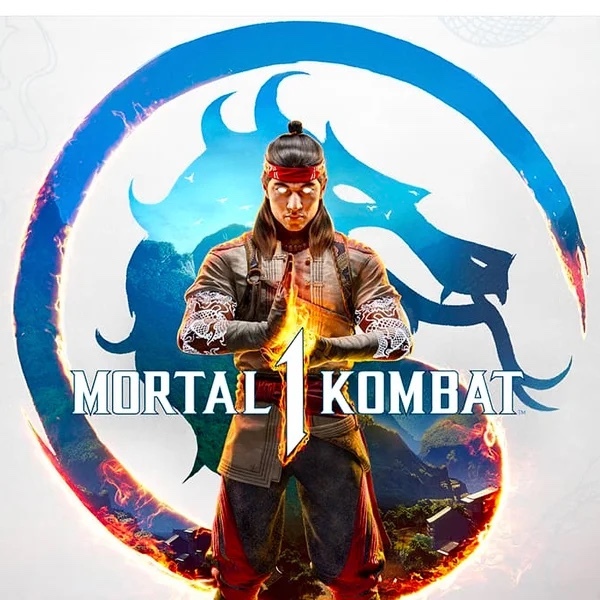 Do you enjoy fighting games?