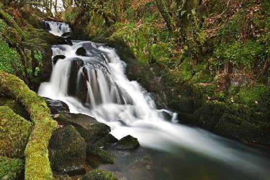 Where would you rather spend new year eve?