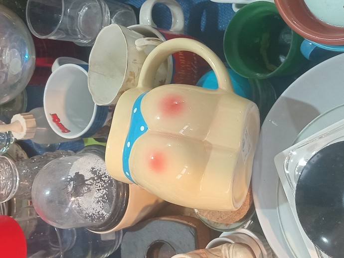 How do you like this mug? Have you ever bought any such type of goods?