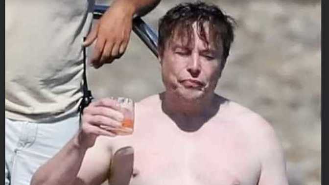 Are you aware of Elon Musk's profound stupidity?