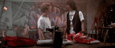 Do you know any friends named Bill and Ted?