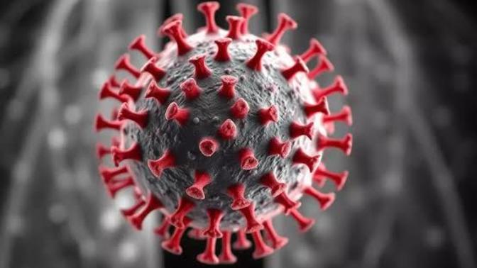 ARE YOU AWARE THAT YOU NEED TO START TAKİNG PRECAUTİONS FOR THE HMPV VIRUS AS SOON AS POSSIBLE?