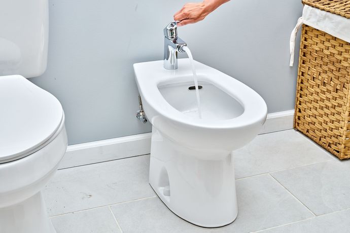 Have you EVER in your life used a bidet?
