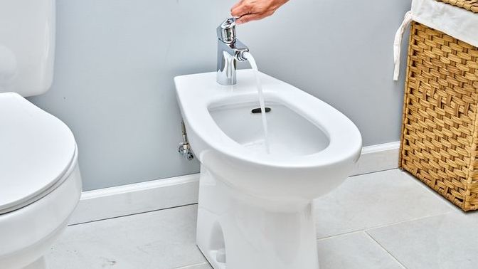 Have you EVER in your life used a bidet?