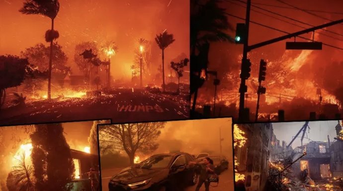 What do you think about the fire in Los Angeles?