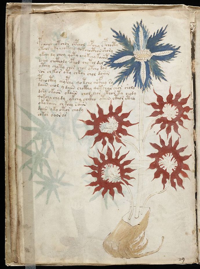 What do you think is one of the greatest discoveries we could make in archaeology?
