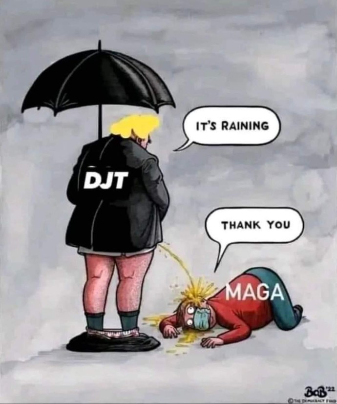 Why do democrats vote for DEI’s and they cry when what they voted for affects them negatively?