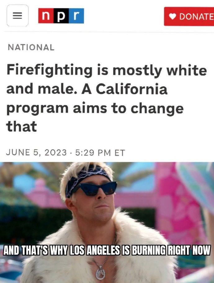 Why do you think Los Angeles is on fire?