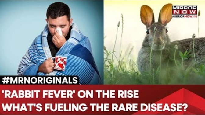 Let's add yet, another medical condition spreading called Tuleremia which is spread from rabbits, also known as rabbit fever. R U concerned?