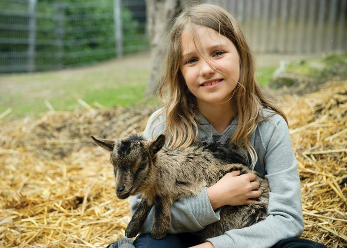 Would you like to have a pet goat?