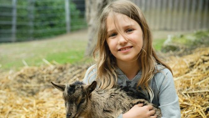 Would you like to have a pet goat?