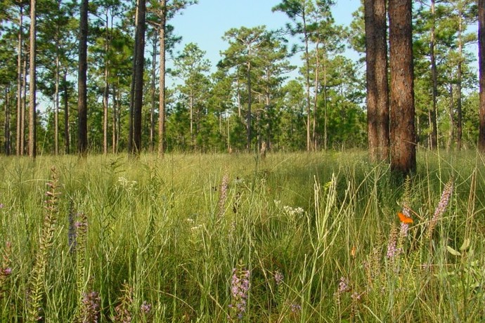 Which is the most beautiful state in America?