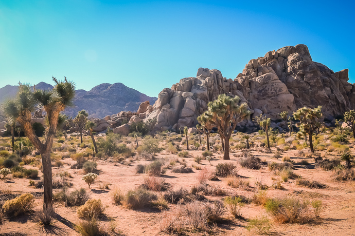 Which is the most beautiful state in America?