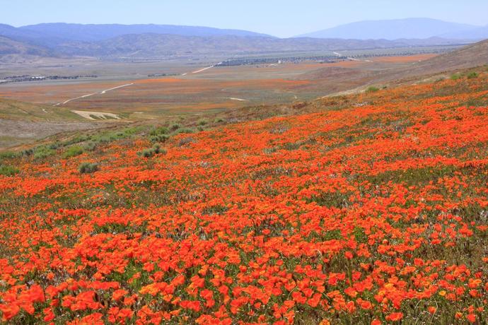 Which is the most beautiful state in America?