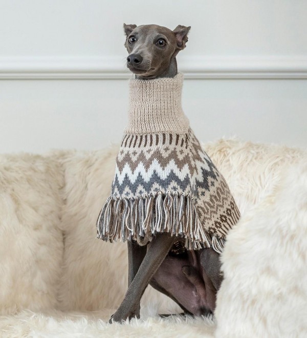 What do you think of baby strollers for dogs?
