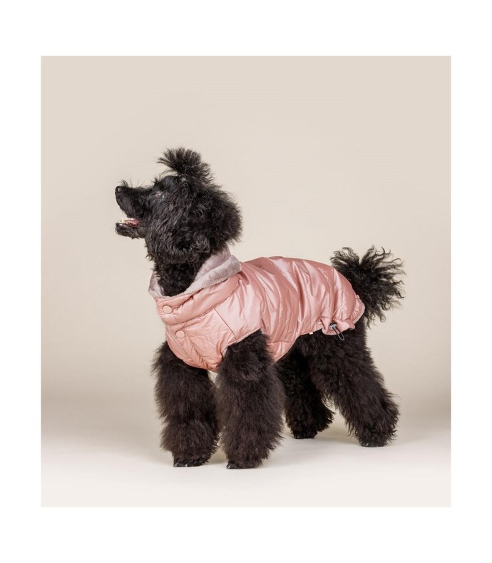 What do you think of baby strollers for dogs?