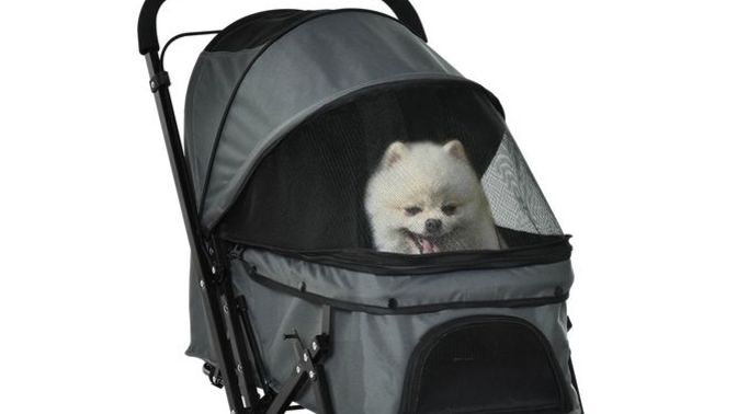 What do you think of 'baby strollers' for dogs?