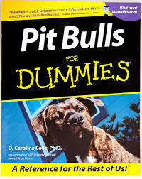 What’s the last book you read?