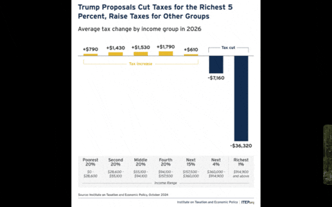 What will Trump do for you?