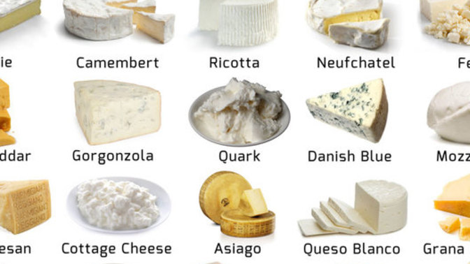 What kind of cheese you like best?