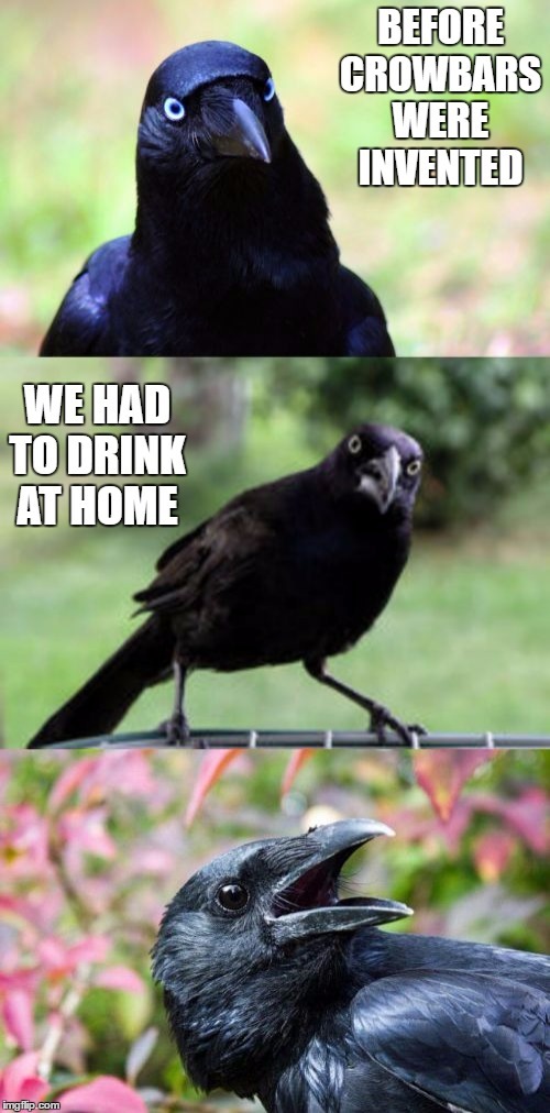 Did you know before crowbars were invented, crows had to drink at home?
