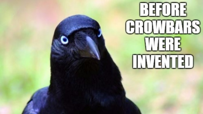 Did you know before crowbars were invented, crows had to drink at home?