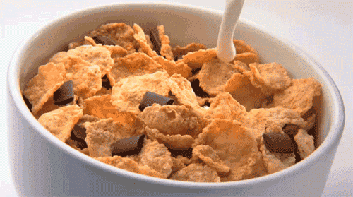 What do YOU normally eat for breakfast?